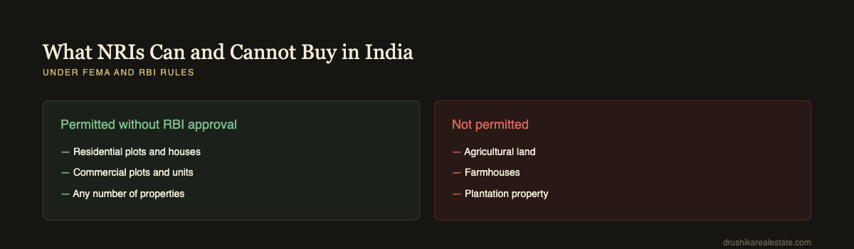 What NRIs can and cannot buy in India under FEMA and RBI rules